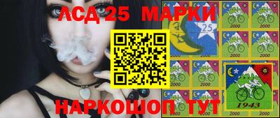 альфа пвп Кингисепп
