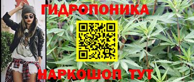 альфа пвп Кингисепп